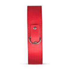 Set BDSM Crimson Dream - detaliu guler cu lesa detasabila