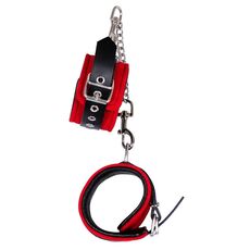 Catuse ZADO "Wild Thing" - Rosu##