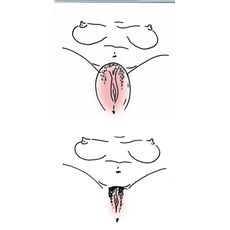 Pompa Vaginala Pipedream »Vibrating Mini Pussy« 7 cm - Roz