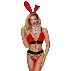 Costum Sexy Iepuras, Erotica, S-L