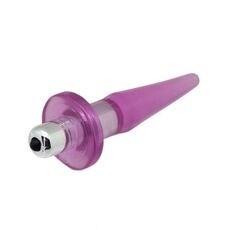 Vibrator Anal Toyz4Lovers »Plug Sting« 10,5 cm - Violet