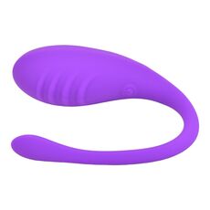 Loving Joy Remote Controlled Love Egg Purple Vibrator, 10 Vibratii#