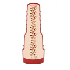 Masturbator Fleshlight "Evie Akashiya" 25 cm - Natural##