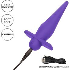 Vibrator Anal Calexotics  »High Intensity« 10 Vibratii - incarcare USB, Violet