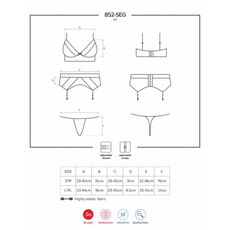 Set Lenjerie Intima Reina Obsessive - Negru