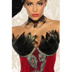 Burlesque Corset Catifea#