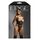 Body Fantasy Lingerie Crotchless Glitter Cupe Deschise Negru - cutie produs Edge
