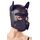 Bad Kitty Dog Mask Unisex