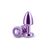 Plug Anal NS Novelties Rear Assets Petite Violet - imagine principala