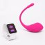 Vibrator Lovense Lush 1 - accesorii incluse