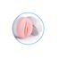 Masturbator Passion Cup Vagina 06, capac detasabil deschis, canal interior texturat vizibil
