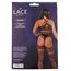 Bodystocking Lace by LJ Negru, cutie vedere spate cu specificatii