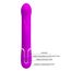 Vibrator Rabbit Coale Pretty Love Roz, schema butoane de control