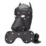 Set Masca Catel Bound to Please Dog Mask