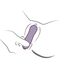 Vibrator Punct G Rocks Off Glo-Girl Vibe, ilustratie pozitionare pentru utilizare
