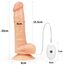 Lovetoy Passion Strap On Vibrant 20cm - imagine 3