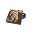Body curele Patent Leather Harness Negru - detaliu tinte