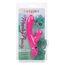 Vibrator rabbit Foreplay Frenzy Pucker CalExotics roz, in cutia originala CalExotics