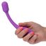 Vibrator Flexibil cu Cap Ferm Bliss Flex-O-Teaser CalExotics, Violet - mod utilizare