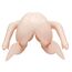 Papusa gonflabila anime Reverse Cowgirl Candy CalExotics, vedere din spate cu cele doua orificii