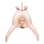 Papusa gonflabila anime Shibari Lexi CalExotics, vedere din spate cu cele doua orificii si franghie