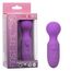 Vibrator Masaj CalExotics Rechargeable Massager Violet