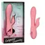 Vibrator Rabbit CalExotics Pasadena Player, Roz Corai