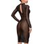 Rochie Neagra Semi transparenta cu dungi, din tul elastic cu dantela, Noir Handmade spate partial