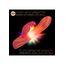 Vibrator Rabbit Moonlight Magic by CalExotics Endless Summer, portocaliu, vedere 5