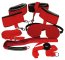 Set Bad Kitty Red Giant - detaliu design