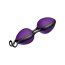 Bile Vaginale Joyballs Secret Set