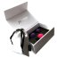 Bile Vaginale Joyballs Secret Set