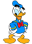 Chilot Donald Duck Softline# - detaliu design