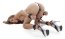 Set Catuse Pipedream "Heavy Duty Hogtie Kit" - Negru - detaliu design