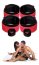 Catuse Pat Web Bed Restraint System - dimensiuni complete