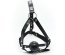 Masca Head Harness + Ball Gag [ Calus cu Bila ]#