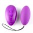 Ou Vaginal Vibrator Alive EGG Magic Purple - vedere frontala