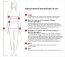 Set Neglijeu Rosu Obsessive Bride, 2 piese, S/M# - accesorii incluse