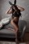 Masca Iepuras 3D Leg Avenue - Negru