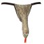 Chiloti Sarpe Softline "Funny Viper" - Verde