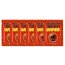Servetele Anti-Ejaculare Cobeco "Bull Power Wipes" 6 Bucati - dimensiuni complete