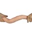 Dildo Dublu,King Size Realistic Ladykiller Tapered Double Penetration, 36 cm#