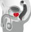 Stimulator Proatata Joel Kaplan »Versatile Prostate« 13,5 cm - Negru
