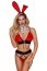 Costum Sexy Iepuras, Erotica, S-L