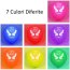 Baloane Colorate Lovetoy 7 Bucati##