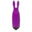 Mini Vibrator Intense Rabbit Purple, 10 Viteze - detaliu design
