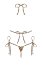 Set Bikini si Sutien Obsessive Bella Vista