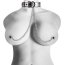Set Bondage Lovetoy Argintiu##