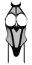 Body Latex & Plasa#