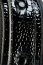 Catuse  Blaze "Crocodile Dundee" - Negru##